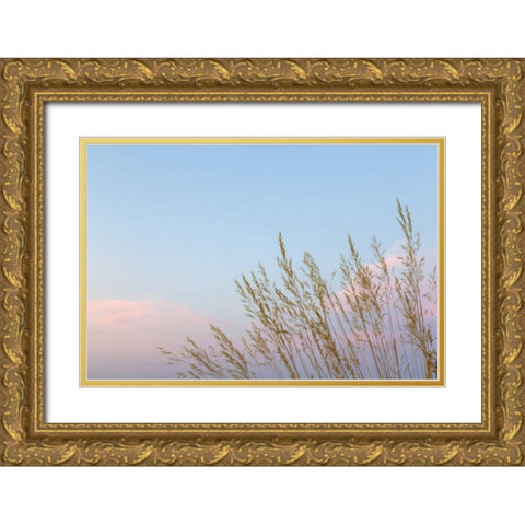 Washington, Seabeck Grasses at sunset Gold Ornate Wood Framed Art Print with Double Matting by Paulson, Don