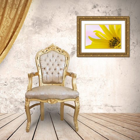Washington Detail of sunflower blossom Gold Ornate Wood Framed Art Print with Double Matting by Paulson, Don