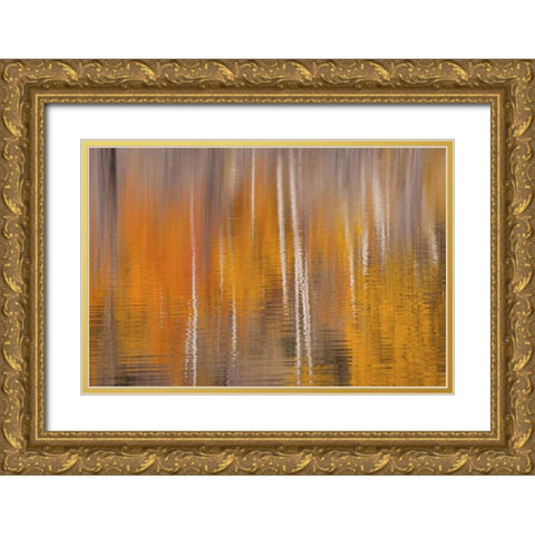 WA, Winthrop Autumn reflections on Beaver Pond Gold Ornate Wood Framed Art Print with Double Matting by Paulson, Don