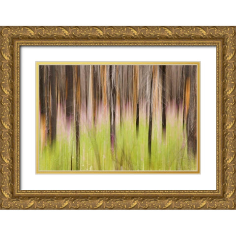 Canada, BC, Motion blur of grass and trees Gold Ornate Wood Framed Art Print with Double Matting by Paulson, Don