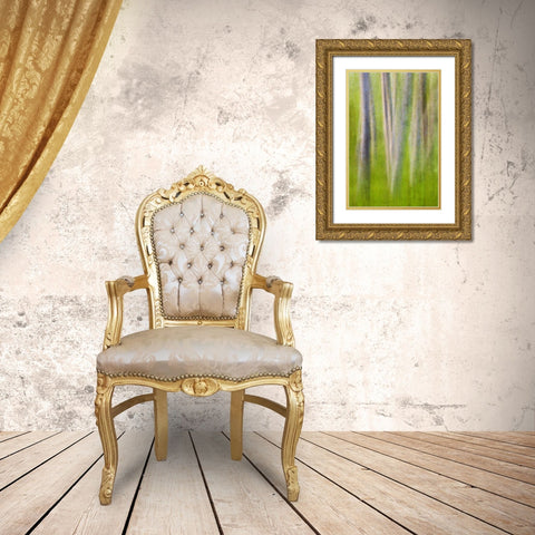 USA, Washington State Alder tree abstract Gold Ornate Wood Framed Art Print with Double Matting by Paulson, Don