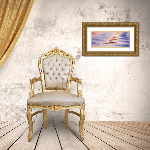 Alaska, Icy Straight Sunset reflections on water Gold Ornate Wood Framed Art Print with Double Matting by Paulson, Don