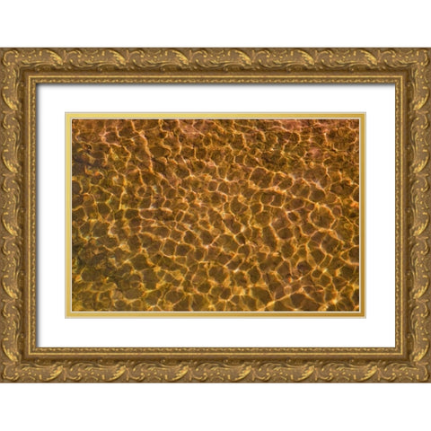 UT, Glen Canyon Sunlight in shallow water Gold Ornate Wood Framed Art Print with Double Matting by Paulson, Don