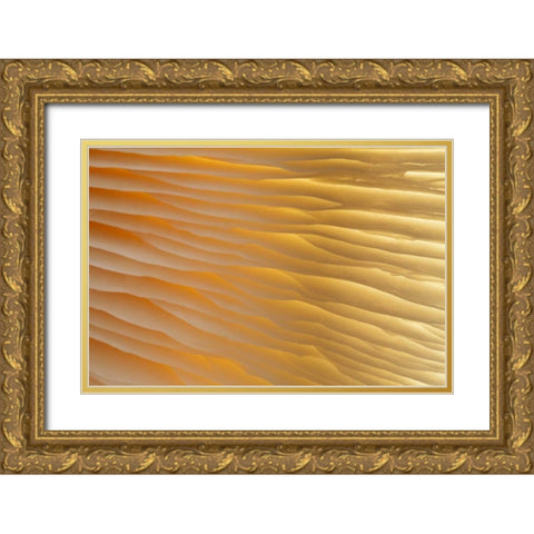 Washington , Seabeck Abstract of mushroom plant Gold Ornate Wood Framed Art Print with Double Matting by Paulson, Don
