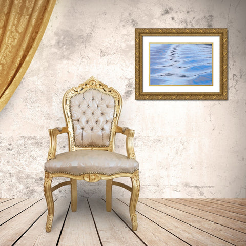 USA, Alaska, Endicott Arm Boat wake patterns Gold Ornate Wood Framed Art Print with Double Matting by Paulson, Don