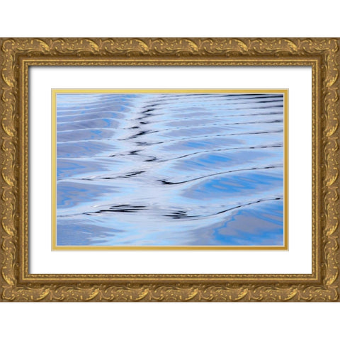 USA, Alaska, Endicott Arm Boat wake patterns Gold Ornate Wood Framed Art Print with Double Matting by Paulson, Don