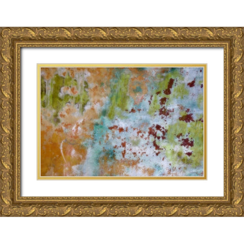 Washington, Fort Hayden Abstract painted wall Gold Ornate Wood Framed Art Print with Double Matting by Paulson, Don