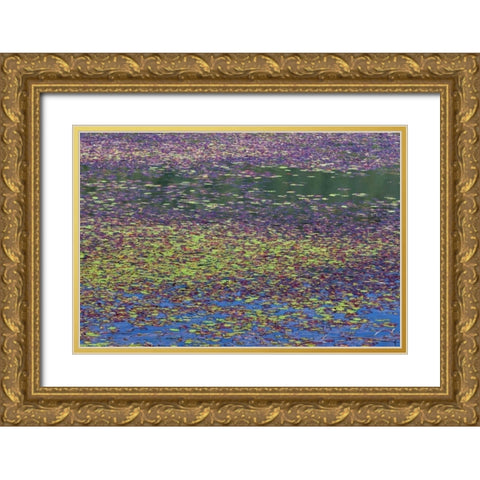 OR, Tahkenitch Lake Abstract of duck weed Gold Ornate Wood Framed Art Print with Double Matting by Paulson, Don