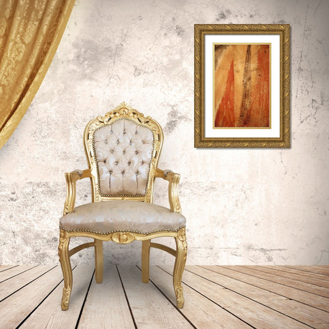 Mexico Abstract wall pattern Gold Ornate Wood Framed Art Print with Double Matting by Paulson, Don