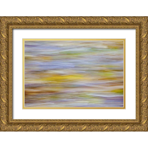 WA, Seabeck Motion blur of fall leaves on beach Gold Ornate Wood Framed Art Print with Double Matting by Paulson, Don