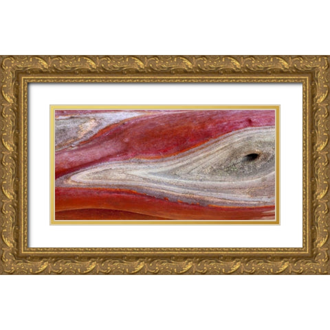 California, Mount Diablo SP Manzanita wood Gold Ornate Wood Framed Art Print with Double Matting by Paulson, Don
