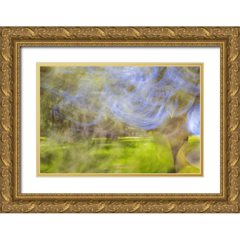 Mexico, Tecate Motion blurred outside abstract Gold Ornate Wood Framed Art Print with Double Matting by Paulson, Don