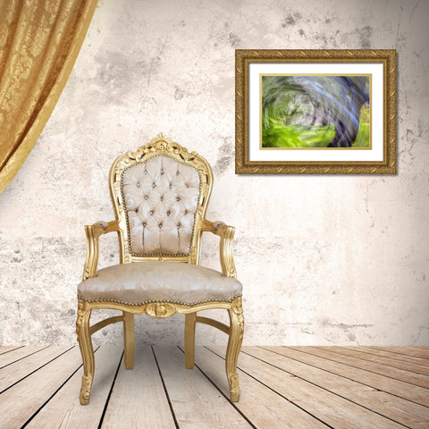 Mexico, Tecate Motion blurred outside abstract Gold Ornate Wood Framed Art Print with Double Matting by Paulson, Don