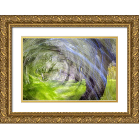 Mexico, Tecate Motion blurred outside abstract Gold Ornate Wood Framed Art Print with Double Matting by Paulson, Don
