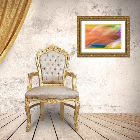 Mexico, Baja California, Tecate Abstract wash Gold Ornate Wood Framed Art Print with Double Matting by Paulson, Don
