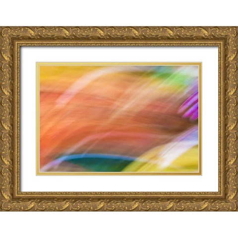 Mexico, Baja California, Tecate Abstract wash Gold Ornate Wood Framed Art Print with Double Matting by Paulson, Don