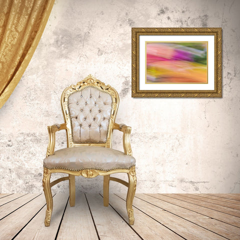 Mexico, Baja California, Tecate Abstract wash Gold Ornate Wood Framed Art Print with Double Matting by Paulson, Don