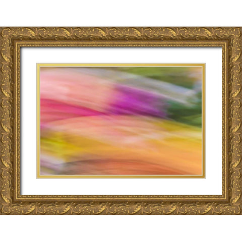 Mexico, Baja California, Tecate Abstract wash Gold Ornate Wood Framed Art Print with Double Matting by Paulson, Don