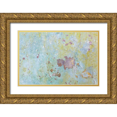 Washington, Fort Hayden Abstract painted wall Gold Ornate Wood Framed Art Print with Double Matting by Paulson, Don