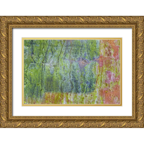 Washington, Fort Hayden Abstract painted wall Gold Ornate Wood Framed Art Print with Double Matting by Paulson, Don