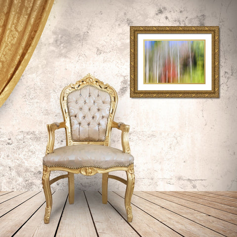 TN, Cherokee NF Abstract tree reflects in a pond Gold Ornate Wood Framed Art Print with Double Matting by Paulson, Don