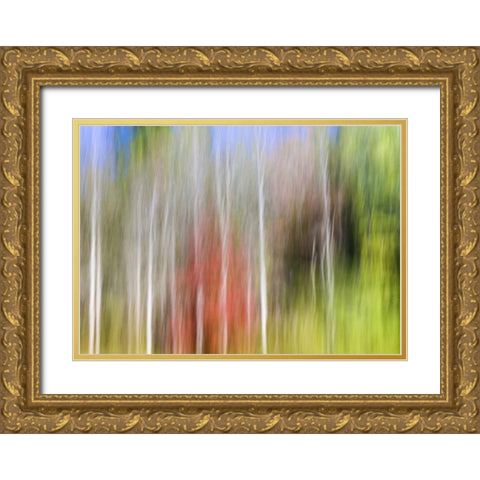 TN, Cherokee NF Abstract tree reflects in a pond Gold Ornate Wood Framed Art Print with Double Matting by Paulson, Don