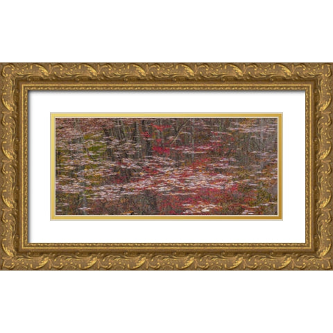 TN Fall reflections in Fall Creek Lake Gold Ornate Wood Framed Art Print with Double Matting by Paulson, Don