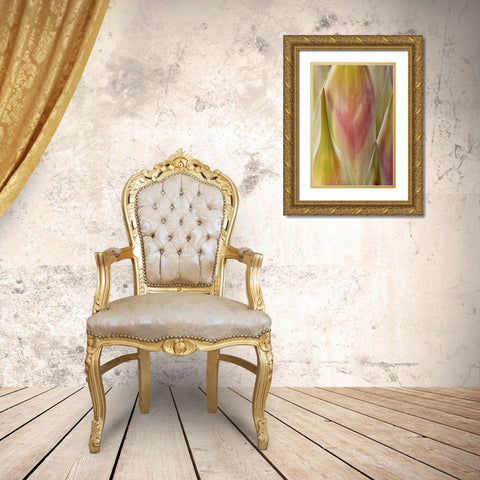 Washington State, Seabeck Flower petals Gold Ornate Wood Framed Art Print with Double Matting by Paulson, Don