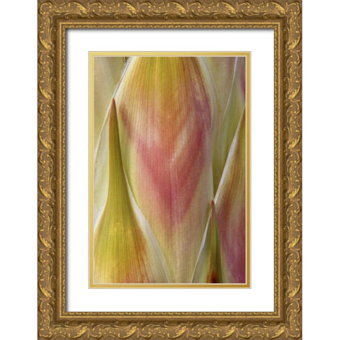 Washington State, Seabeck Flower petals Gold Ornate Wood Framed Art Print with Double Matting by Paulson, Don
