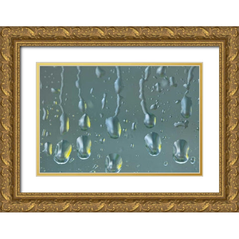 Washington State, Seabeck Raindrops on a window Gold Ornate Wood Framed Art Print with Double Matting by Paulson, Don
