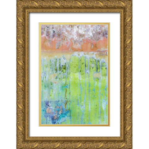 Washington, Fort Hayden Abstract painted wall Gold Ornate Wood Framed Art Print with Double Matting by Paulson, Don