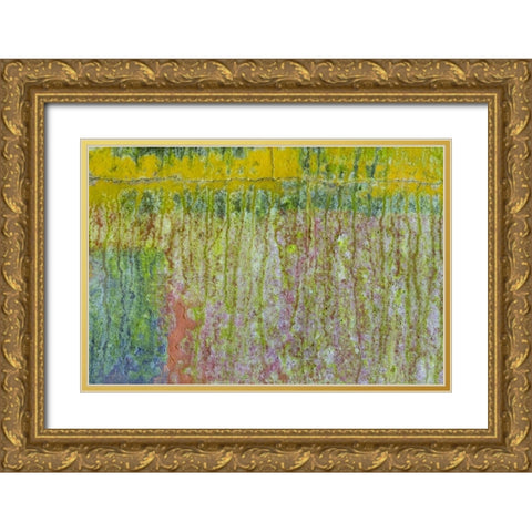 Washington, Fort Hayden Abstract painted wall Gold Ornate Wood Framed Art Print with Double Matting by Paulson, Don