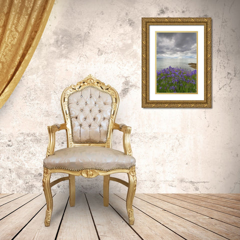 Washington Camas blooms on Sucia Island Gold Ornate Wood Framed Art Print with Double Matting by Paulson, Don
