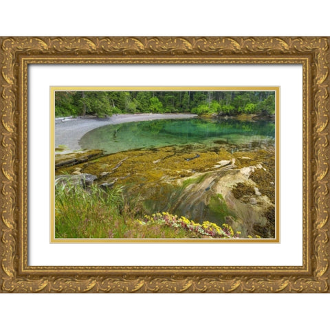 Washington Secluded bay on Sucia Island Gold Ornate Wood Framed Art Print with Double Matting by Paulson, Don