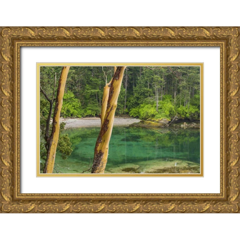 Washington Secluded bay on Sucia Island Gold Ornate Wood Framed Art Print with Double Matting by Paulson, Don