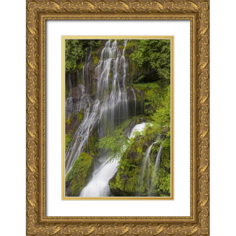 Washington Spring Panther Creek Waterfall Gold Ornate Wood Framed Art Print with Double Matting by Paulson, Don