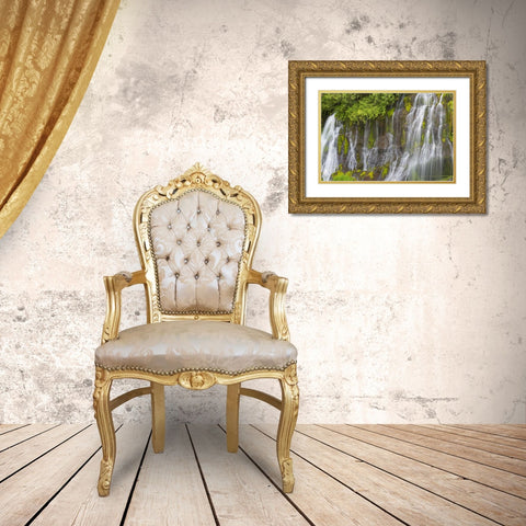 Washington Spring Panther Creek Waterfall Gold Ornate Wood Framed Art Print with Double Matting by Paulson, Don