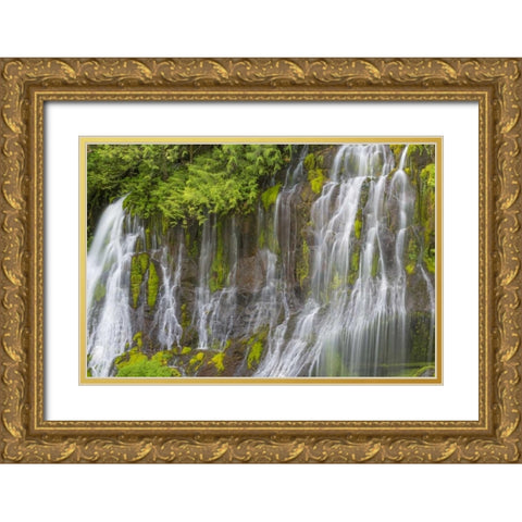 Washington Spring Panther Creek Waterfall Gold Ornate Wood Framed Art Print with Double Matting by Paulson, Don