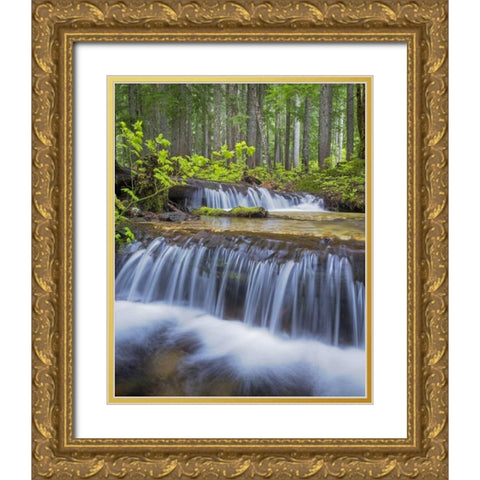 WA, Gifford Pinchot NF Waterfall and forest Gold Ornate Wood Framed Art Print with Double Matting by Paulson, Don