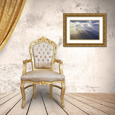 WA, Seabeck Gull and God rays over the Olympics Gold Ornate Wood Framed Art Print with Double Matting by Paulson, Don