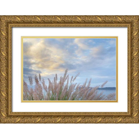 Washington, Seabeck Pennisetum ornamental grass Gold Ornate Wood Framed Art Print with Double Matting by Paulson, Don