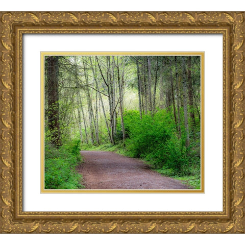 USA-Washington State-Pacific Northwest Sammamish trail along Yellow Lake Gold Ornate Wood Framed Art Print with Double Matting by Gulin, Sylvia