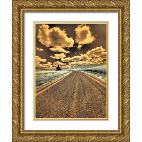 USA-Washington State-Palouse-Country backroad through spring crops Gold Ornate Wood Framed Art Print with Double Matting by Eggers, Terry