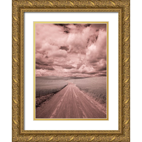 USA-Washington State-Palouse-Country backroad through spring crops Gold Ornate Wood Framed Art Print with Double Matting by Eggers, Terry