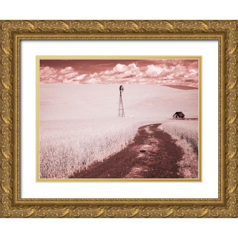 USA-Washington State-Palouse-Backroad through wheat field Gold Ornate Wood Framed Art Print with Double Matting by Eggers, Terry