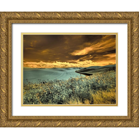 USA-Washington State-Palouse-Spring Poppies and Backcountry road through wheat field and clouds Gold Ornate Wood Framed Art Print with Double Matting by Eggers, Terry