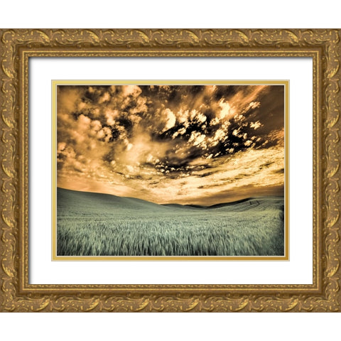 USA-Washington State-Palouse-wheat field and clouds Gold Ornate Wood Framed Art Print with Double Matting by Eggers, Terry