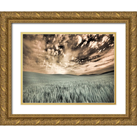 USA-Washington State-Palouse-wheat field and clouds Gold Ornate Wood Framed Art Print with Double Matting by Eggers, Terry