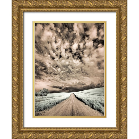 USA-Washington State-Palouse-Backcountry road through wheat field and clouds Gold Ornate Wood Framed Art Print with Double Matting by Eggers, Terry