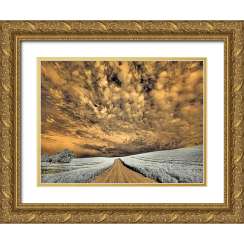USA-Washington State-Palouse-Backcountry road through wheat field and clouds Gold Ornate Wood Framed Art Print with Double Matting by Eggers, Terry